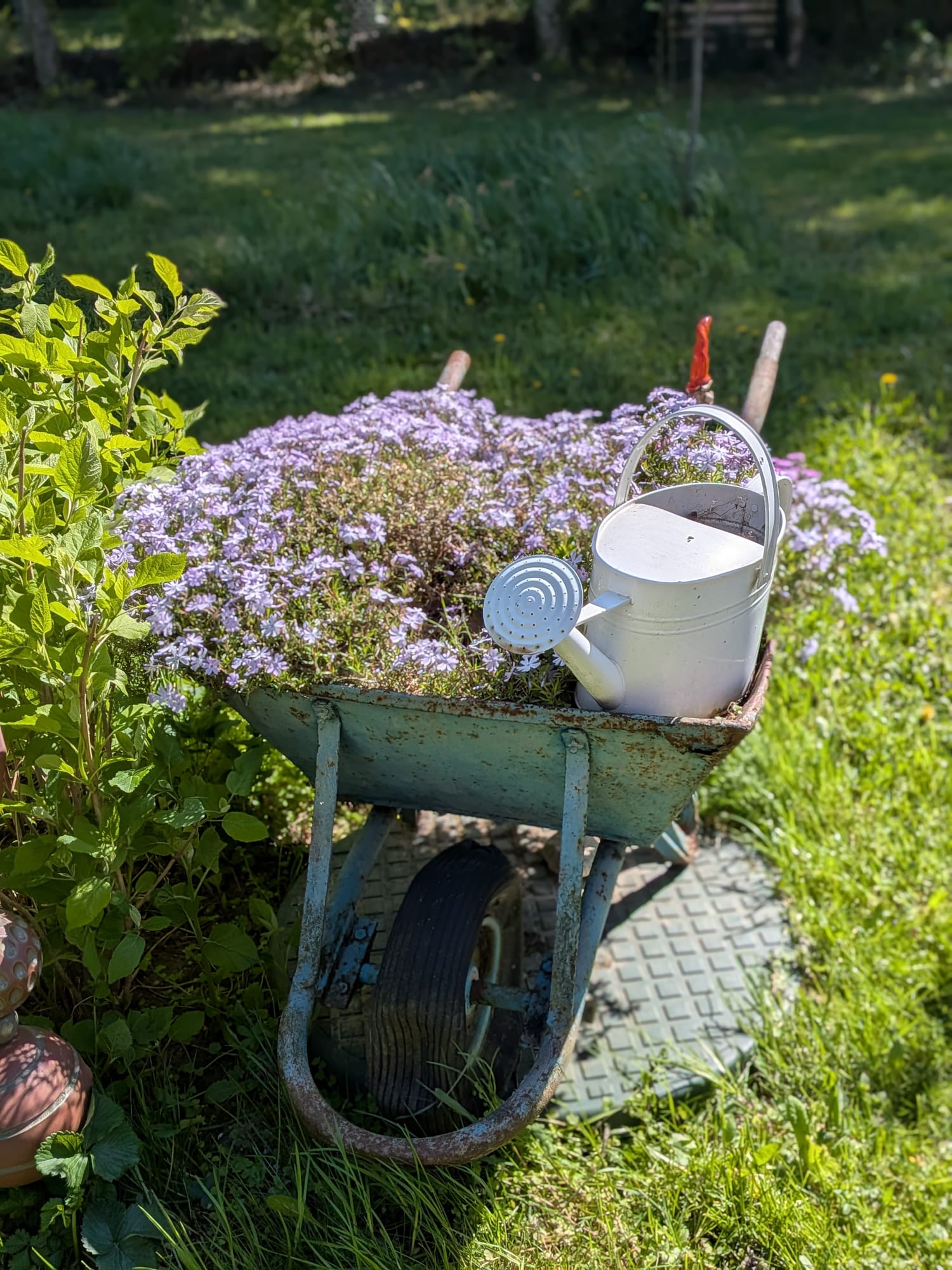 Garten 7 – Bauerngarten